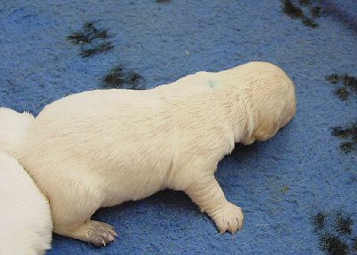 ..erste Schritte....FIRST STEPS