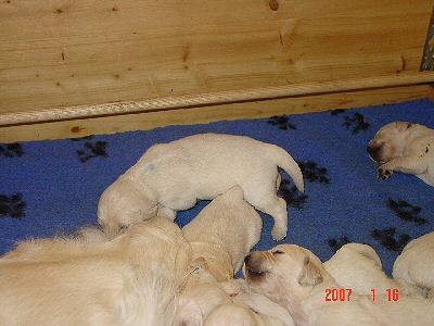 ...erste Schritte... FIRST STEPS