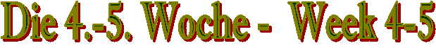 Die 4. Woche -  Week 4