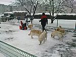 SCHNEEEINBRUCH....3xtäglich Schnee schippen unter strenger Kontrolle... 