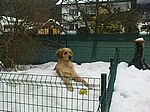 ....gemütlich auf einem Schneeberg...mit dem Lieblingsball....einfach bequem ! 