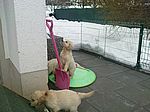 Frau Pink auf Entdeckungstour 