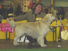 Ausstellung Wels 12/2002: EX 1,  CACA, Res.CACIB