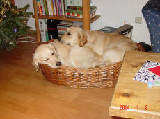 Ach wie toll ist es doch mit Sunny zu kuscheln !