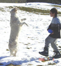 Polly mit ihrem besten Freund