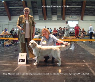 Juni 2001- Sunny wurde " Bester Golden Retriever des Tages"