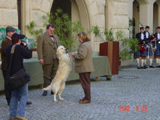 Ein toller Tag: Clubsiegerin, Bestehndin, BOS ( N Trophy Grafenegg 2002)