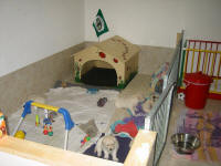 Das Welpenzimmer im Haus - genug Platz zum Spielen und Toben